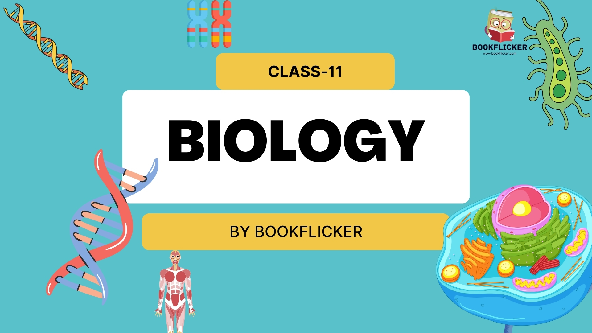 Class 11 CBSE Biology (English)