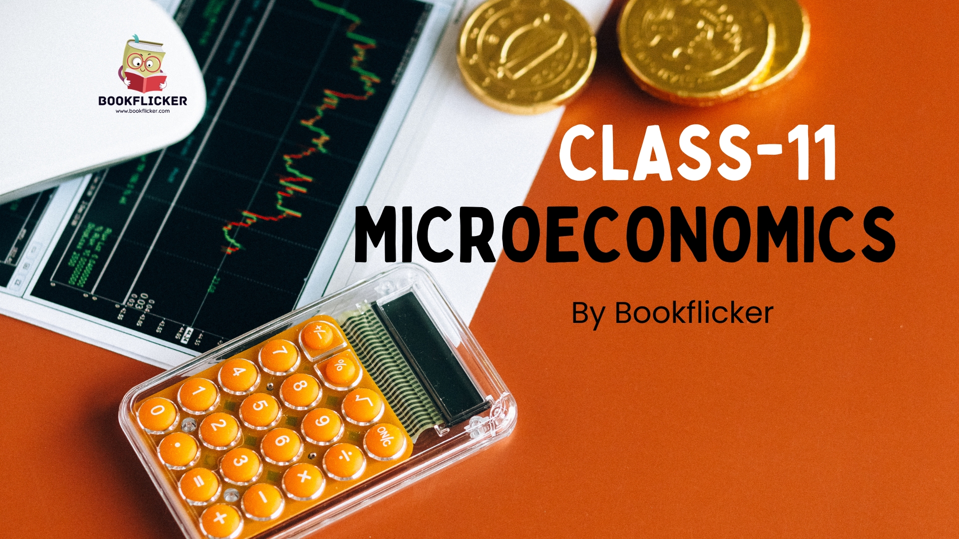 Class 11 CBSE Microeconomics (English)