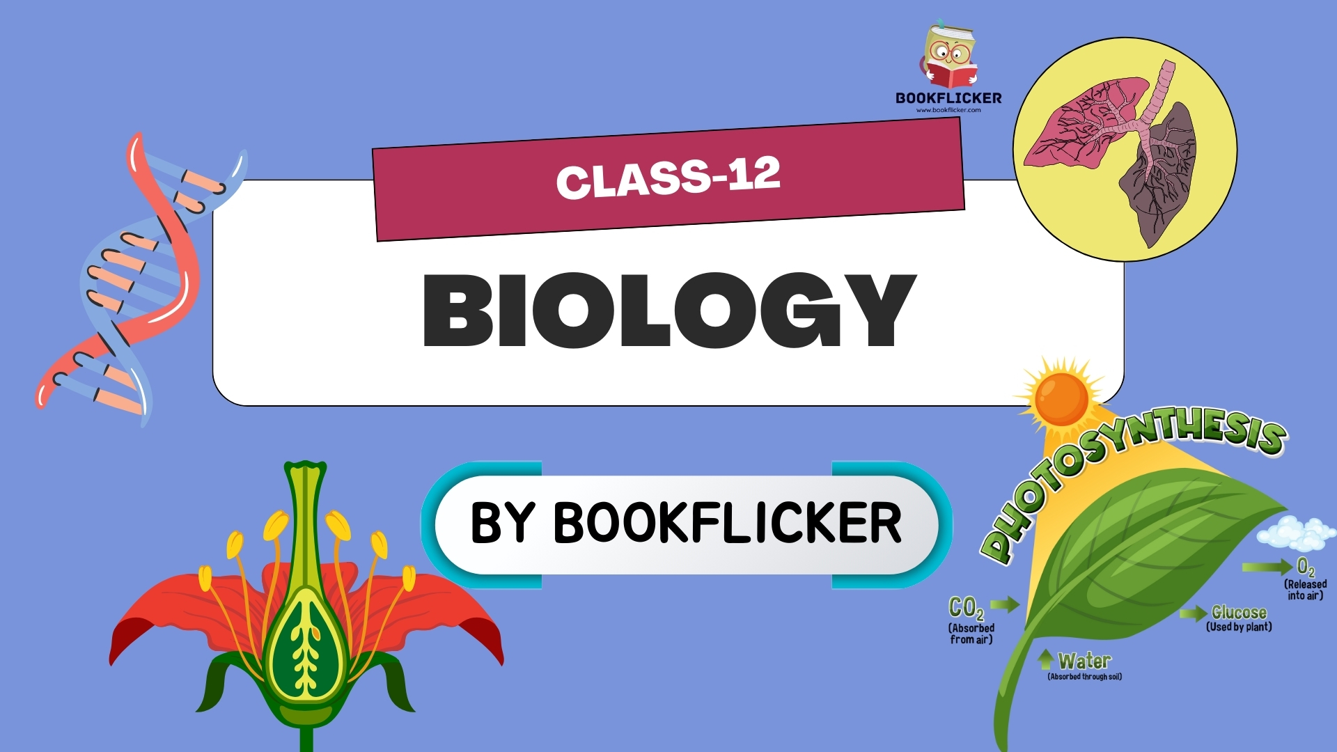 Class 12 CBSE Biology (Hindi)