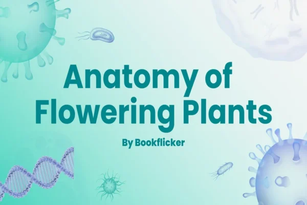 Anatomy of Flowering Plants - Class 11 CBSE Biology Notes in English