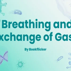 Breathing and Exchange of Gases - Class 11 CBSE Biology Notes in English