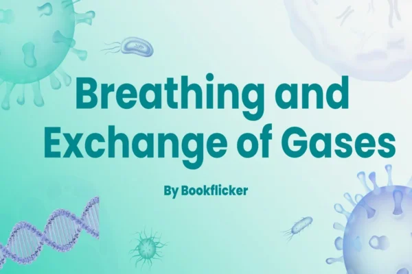 Breathing and Exchange of Gases - Class 11 CBSE Biology Notes in English