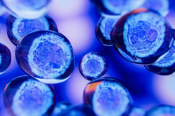 cell biology biochemistry