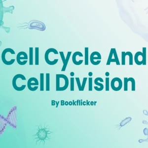 Cell Cycle and Cell Division - Class 11 CBSE Biology Notes in English