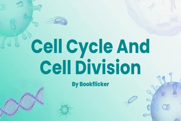 Cell Cycle and Cell Division - Class 11 CBSE Biology Notes in English