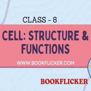 Cell: Structure and Functions - Class 08 CBSE Science Notes in English