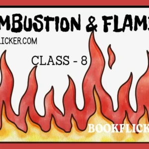Combustion and Flame - Class 08 CBSE Science Notes in English