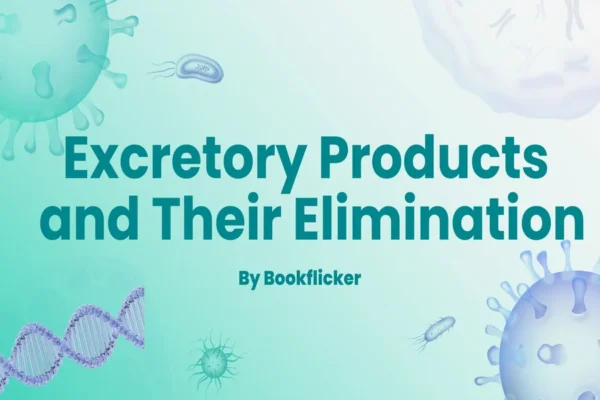 Excretory Products and their Elimination - Class 11 CBSE Biology Notes in English