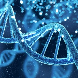 genetic inheritance