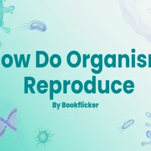 How Do Organisms Reproduce - Class 10 CBSE Biology Notes in English