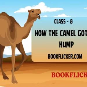English Literature It So Happened: How the Camel got his hump - Class 08 CBSE English Literature Notes