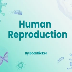 Human Reproduction - Class 12 CBSE Biology Notes in English