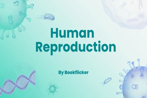 Human Reproduction - Class 12 CBSE Biology Notes in English