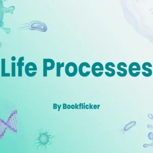 Life Processes - Class 10 CBSE Biology Notes in English