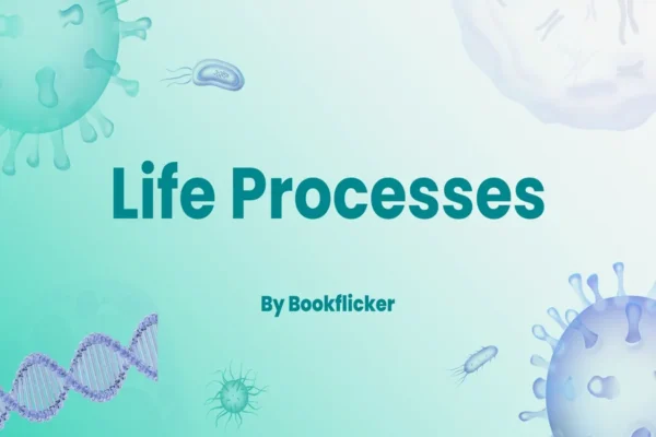 Life Processes - Class 10 CBSE Biology Notes in English