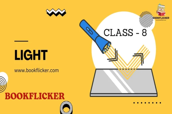 Light - Class 08 CBSE Science Notes in English