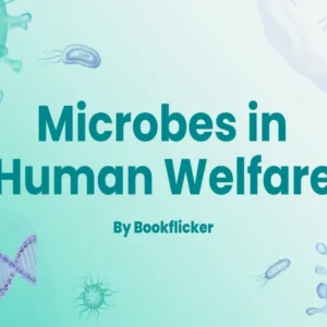 Microbes in Human Welfare - Class 12 CBSE Biology Notes in English
