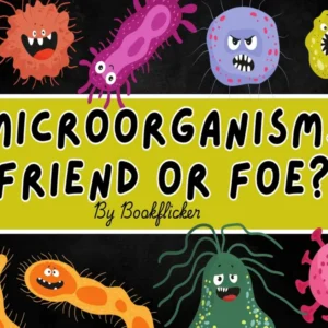 Microorganisms: Friend or Foe - Class 08 CBSE Science Notes in English