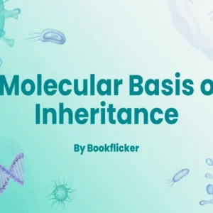 Molecular Basis of Inheritance - Class 12 CBSE Biology Notes in English