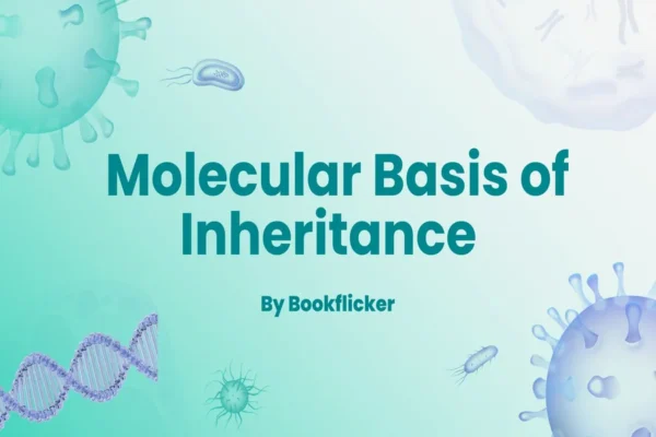 Molecular Basis of Inheritance - Class 12 CBSE Biology Notes in English