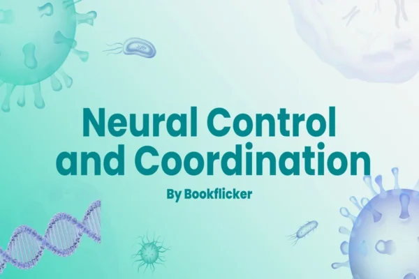 Neural Control and Coordination - Class 11 CBSE Biology Notes in English