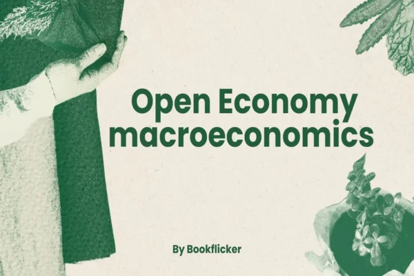 Open Economy macroeconomics  - Class 12 CBSE Economics Notes in English