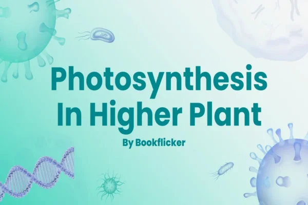 Photosynthesis in Higher Plants - Class 11 CBSE Biology Notes in English