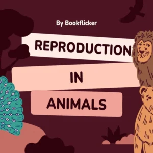 Reproduction in Animals - Class 08 CBSE Science Notes in English
