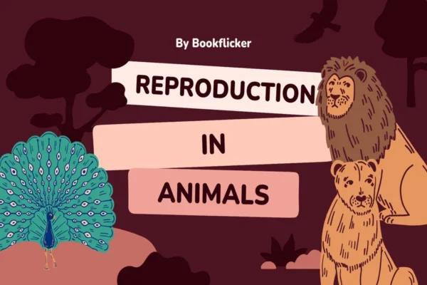 Reproduction in Animals - Class 08 CBSE Science Notes in English