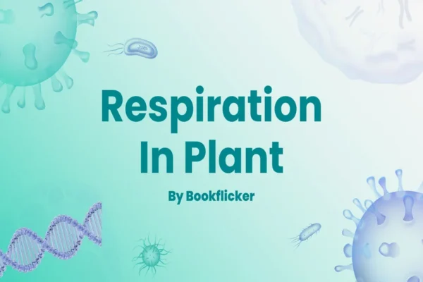 Respiration in Plants - Class 11 CBSE Biology Notes in English