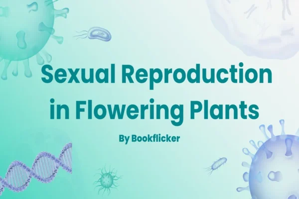 Sexual Reproduction in Flowering Plants - Class 12 CBSE Biology Notes in English