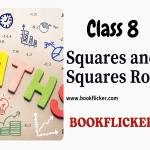 Maths Class 08: Squares and Square Roots - Class 08 CBSE Notes