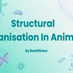 Structural Organisation in Animals - Class 11 CBSE Biology Notes in English