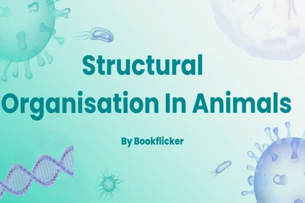 Structural Organisation in Animals - Class 11 CBSE Biology Notes in English