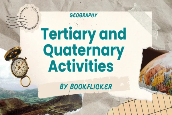 Tertiary and Quaternary Activities  - Class 12 CBSE Geography Notes in English