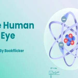 The Human Eye - Class 10 CBSE Physics Notes in English