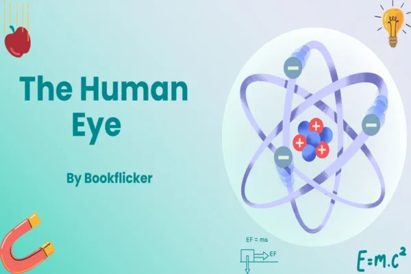 The Human Eye - Class 10 CBSE Physics Notes in English
