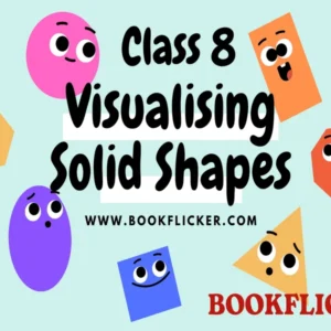 Maths Class 08: Visualising Solid Shapes - Class 08 CBSE Notes